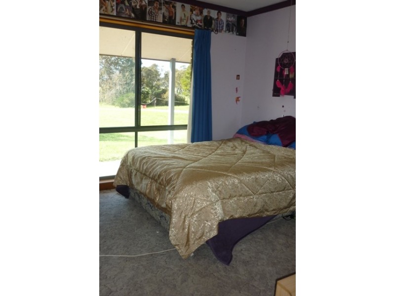 141 Bailey Road, Tarpeena SA 5277