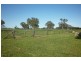 141 Bailey Road, Tarpeena SA 5277