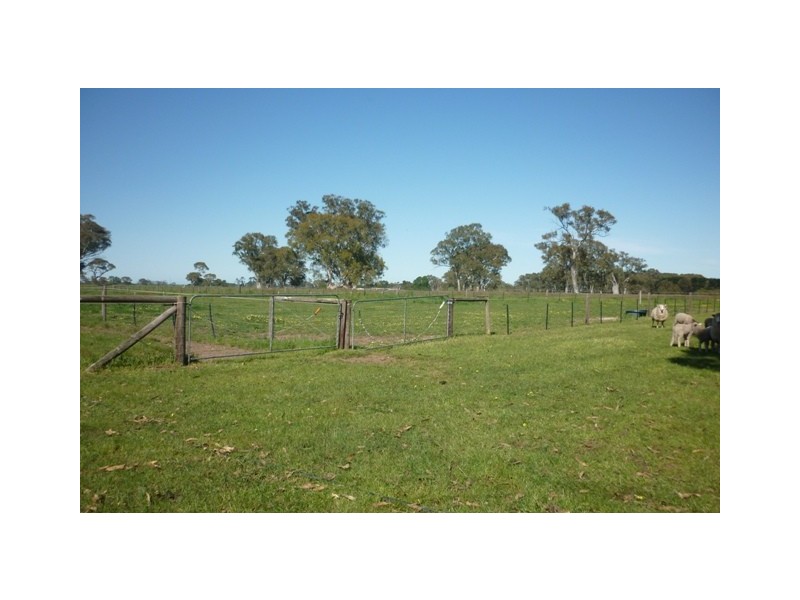 141 Bailey Road, Tarpeena SA 5277