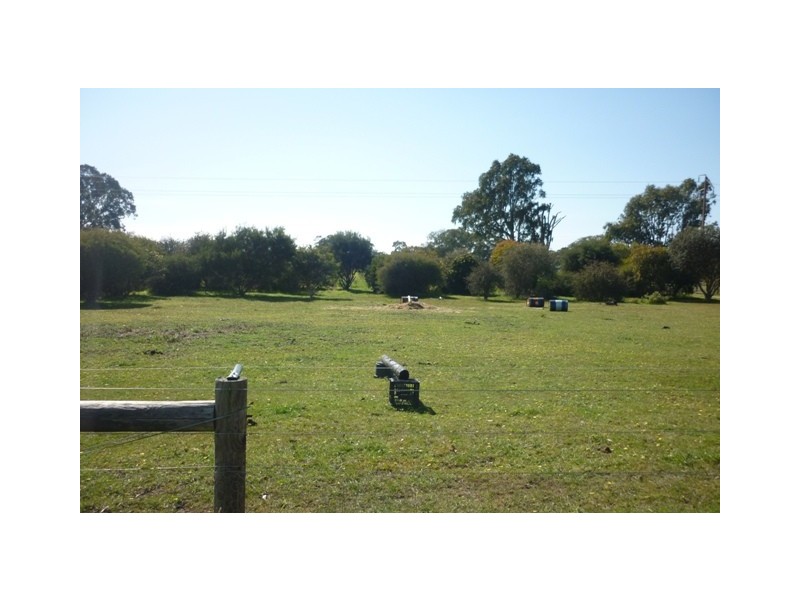 141 Bailey Road, Tarpeena SA 5277