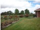 91 Jones Road, Kalangadoo SA 5278