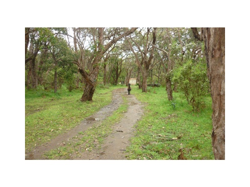 Lot 9 Wye Lane, WYE, Mount Gambier SA 5290