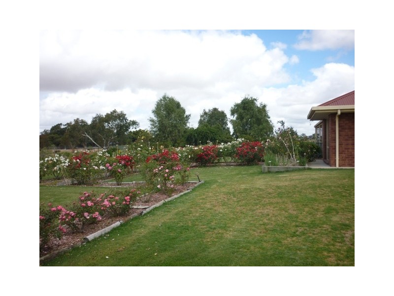 91 Jones Road, Kalangadoo SA 5278