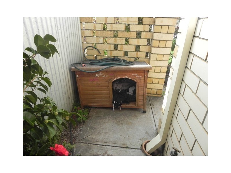 2/3 Gordon Street, Mount Gambier SA 5290