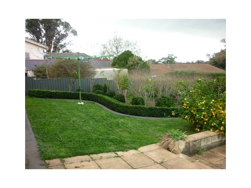 29 Brolga Street, Mount Gambier SA 5290