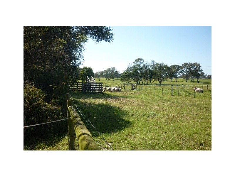 141 Bailey Road, Tarpeena SA 5277