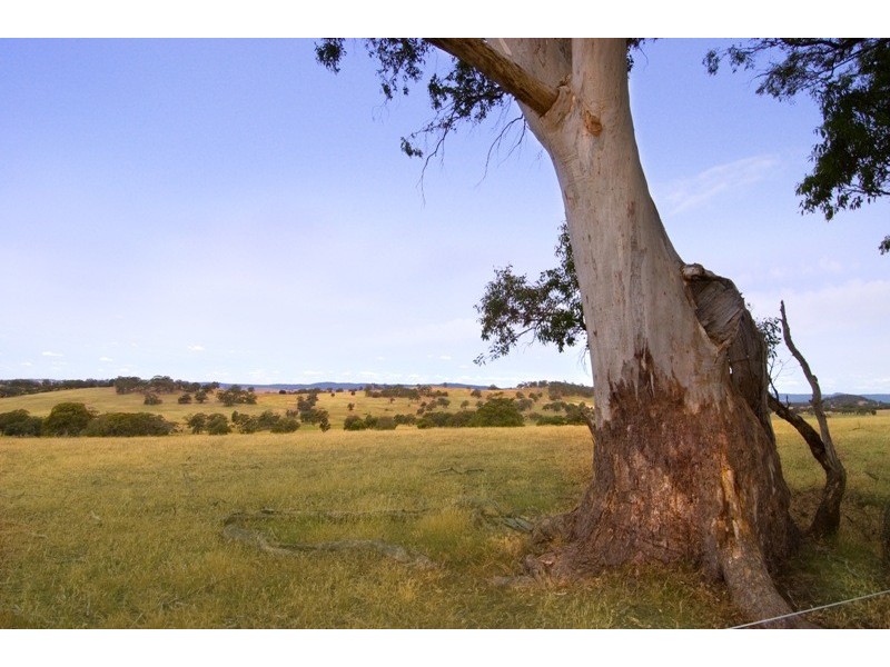 373 Blackhill Road, Kyneton VIC 3444