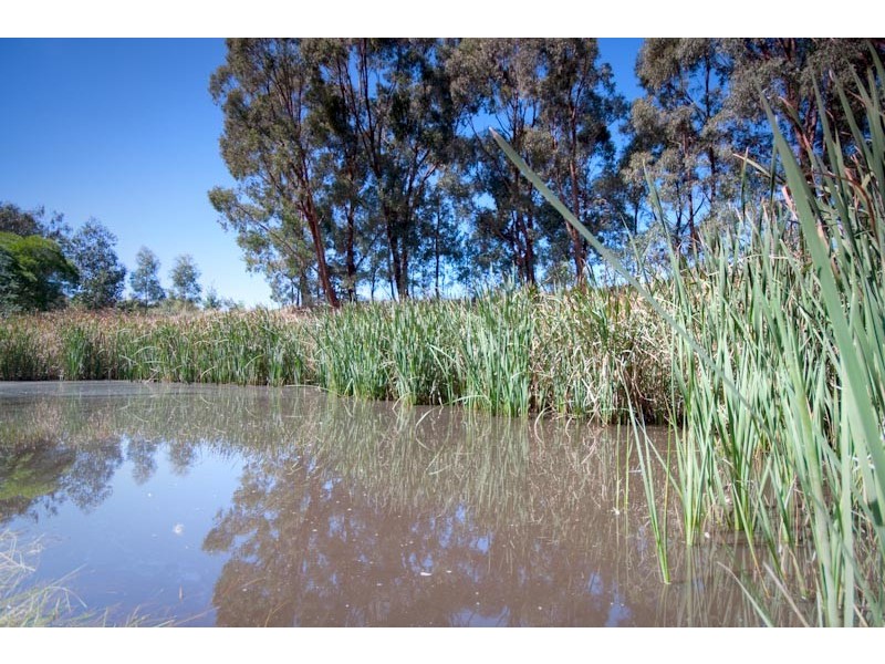 40 Phillips Road, Taradale VIC 3447