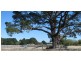Lot 12 Wills Street, Malmsbury VIC 3446