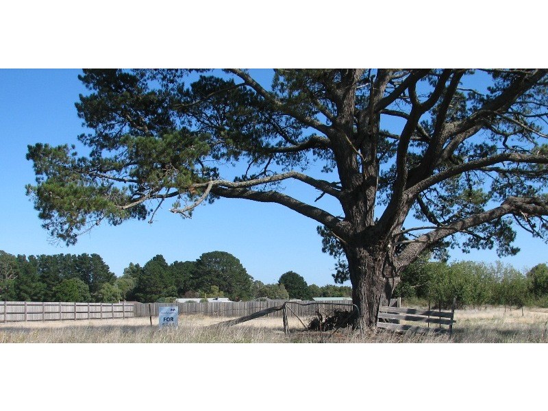 Lot 12 Wills Street, Malmsbury VIC 3446