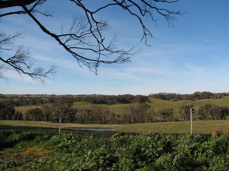 412 Watchbox Road, Glenhope VIC 3444