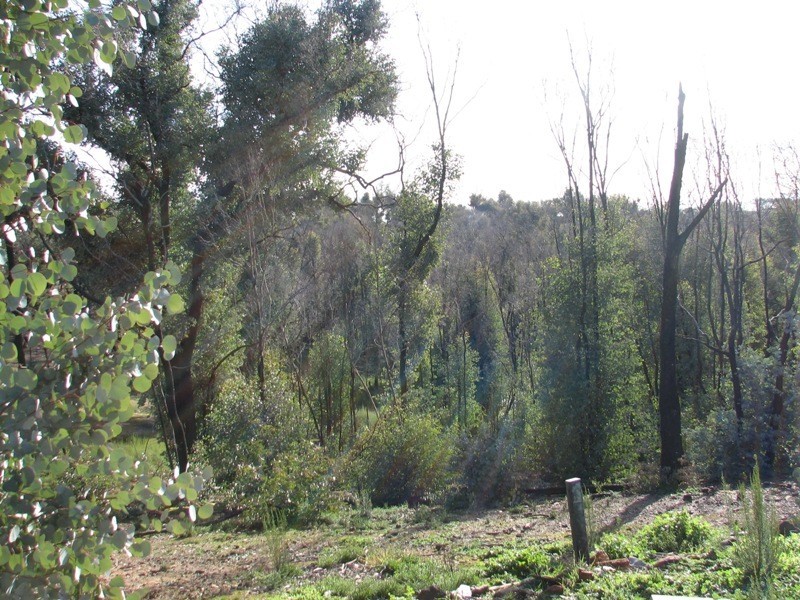 412 Watchbox Road, Glenhope VIC 3444