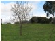 13 Drake Street, Malmsbury VIC 3446