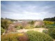 24 Lauriston Street, Malmsbury VIC 3446