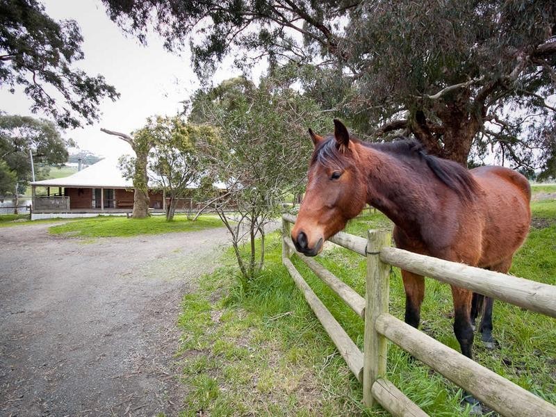 195 Baynton Road, Kyneton VIC 3444