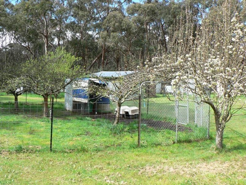 55 Springhill Road, Spring Hill VIC 3444