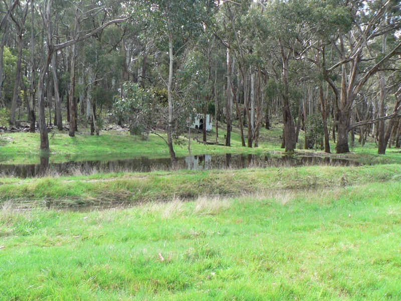 55 Springhill Road, Spring Hill VIC 3444