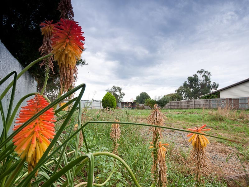 2 McCrae Street, Elphinstone VIC 3448