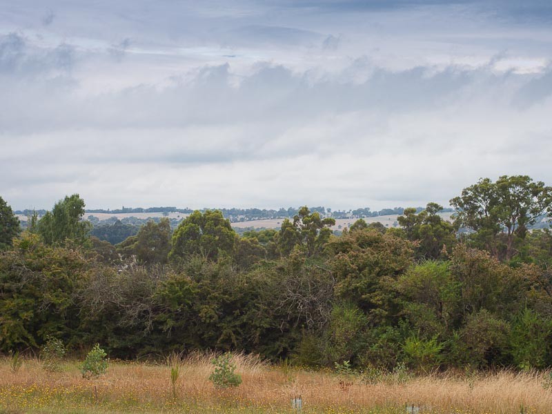 2 McCrae Street, Elphinstone VIC 3448