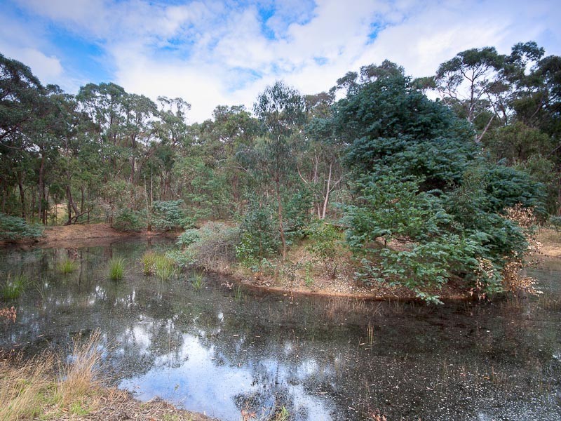 51 Back Creek Road, Kyneton VIC 3444