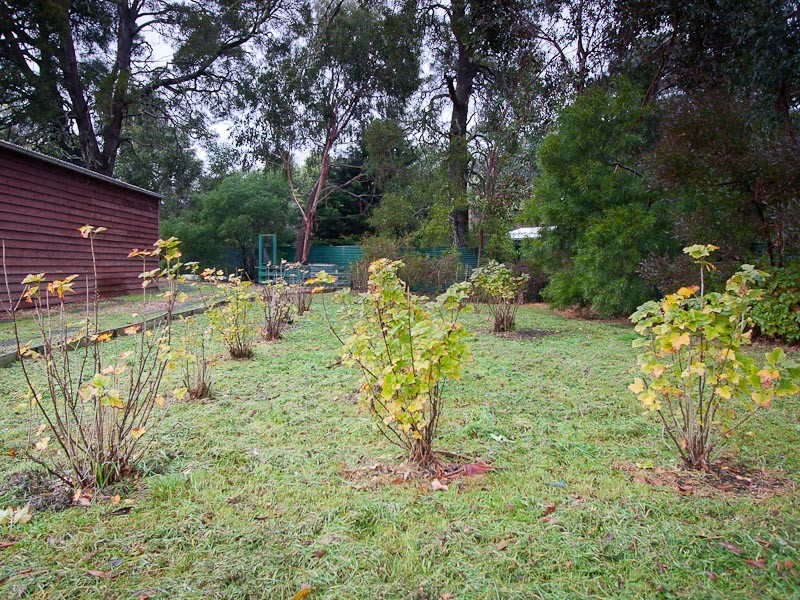 1435 Kyneton-Springhill Road, Spring Hill VIC 3444