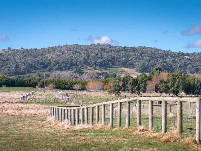 163 Mowbrays Road, Carlsruhe VIC 3442