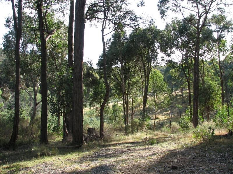 Lot 21,  Nalya Court, Drummond VIC 3461