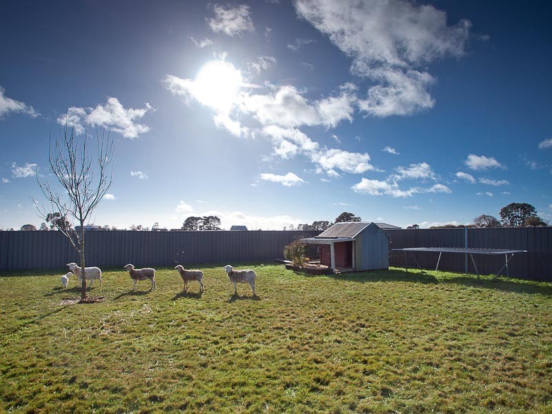 81 Breakneck Road, Malmsbury VIC 3446