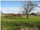 119 Mollison Street, Malmsbury VIC 3446
