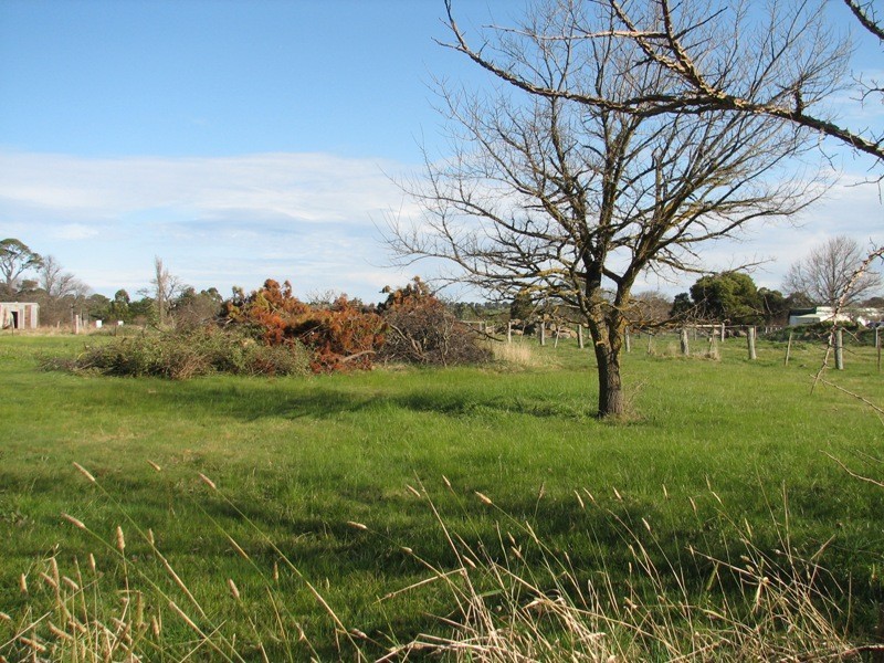 119 Mollison Street, Malmsbury VIC 3446