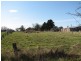 Lot 3 Fleming Street, Malmsbury VIC 3446