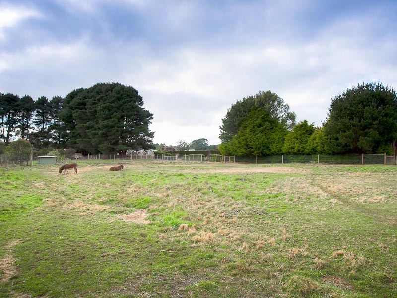 56 Cosmo Road, Trentham VIC 3458