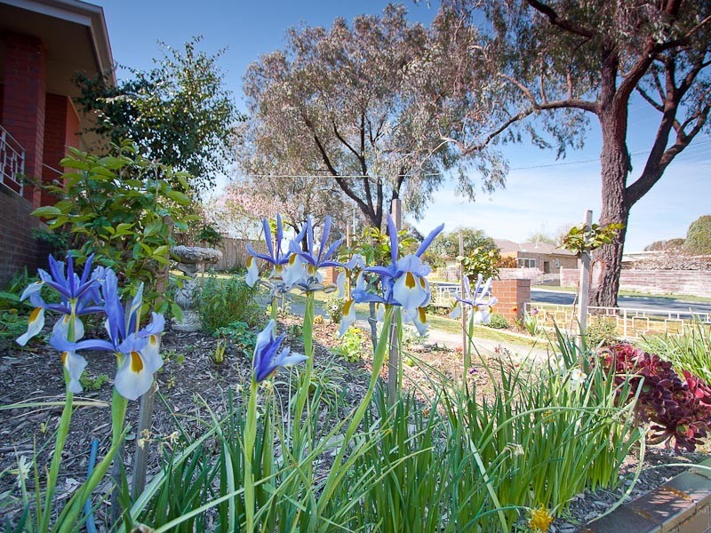 53 Epping Street, Kyneton VIC 3444