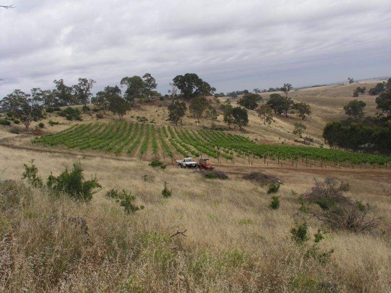 41A North Redesdale Road, Redesdale VIC 3444