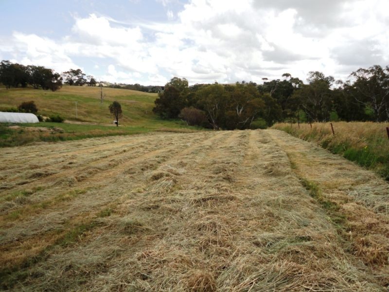 8 Kyneton Metcalfe Road, Metcalfe VIC 3448