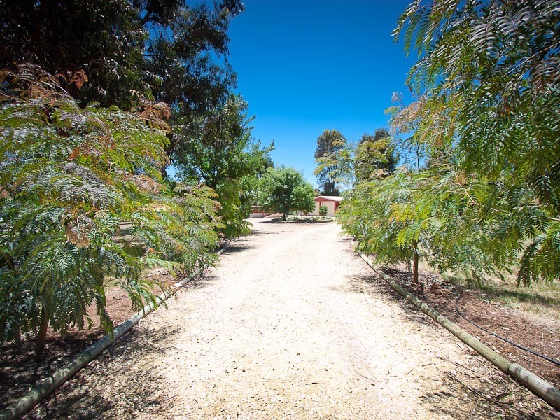 19 McAlpine Road, Taradale VIC 3447
