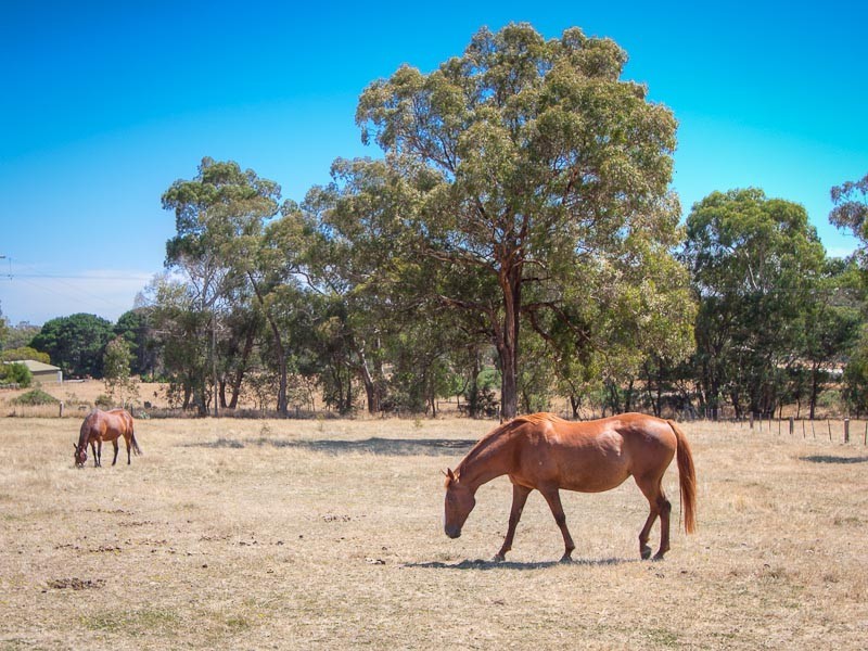 94 Verekers Lane, Kyneton VIC 3444