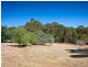 149 Curry’s Hill Road, Musk VIC 3461