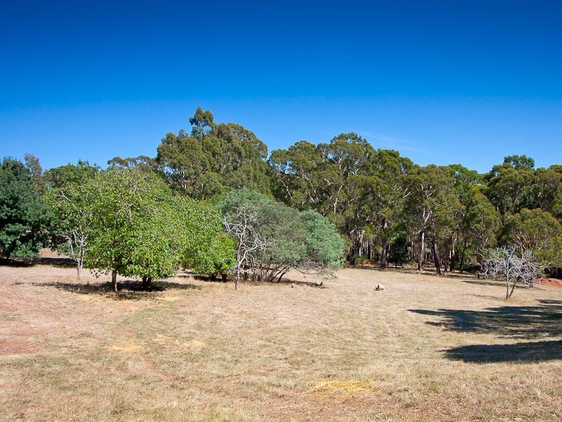 149 Curry’s Hill Road, Musk VIC 3461