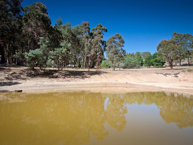 149 Curry’s Hill Road, Musk VIC 3461