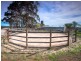 1590 Daylesford Malmsbury Road, Drummond VIC 3461