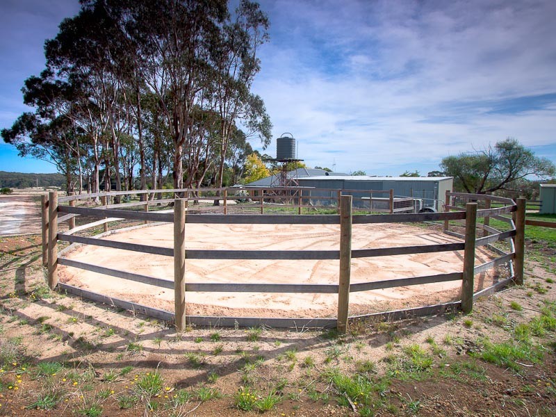 1590 Daylesford Malmsbury Road, Drummond VIC 3461