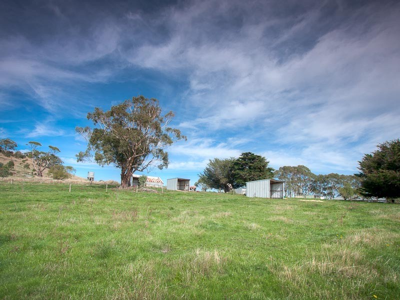 1590 Daylesford Malmsbury Road, Drummond VIC 3461