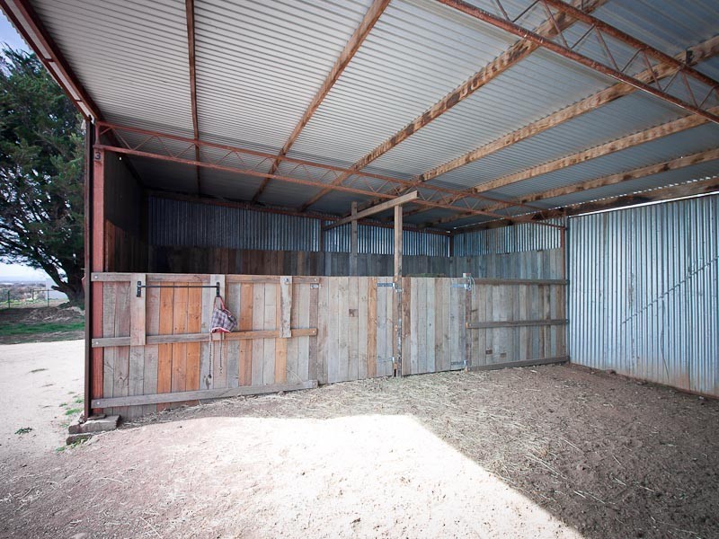 1590 Daylesford Malmsbury Road, Drummond VIC 3461