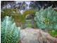 70 Olivers Lane, Elphinstone VIC 3448