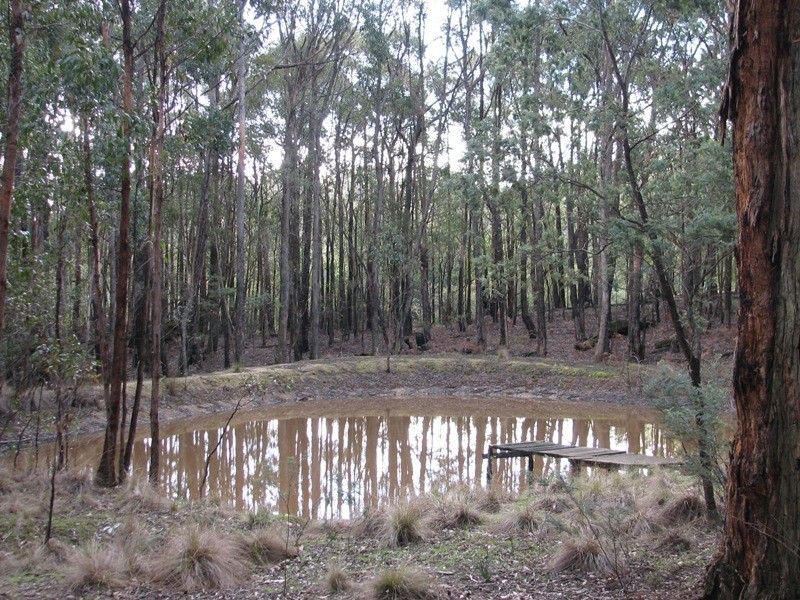 11 William Track, Glenlyon VIC 3461