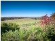 56 Mount View Drive, Elphinstone VIC 3448
