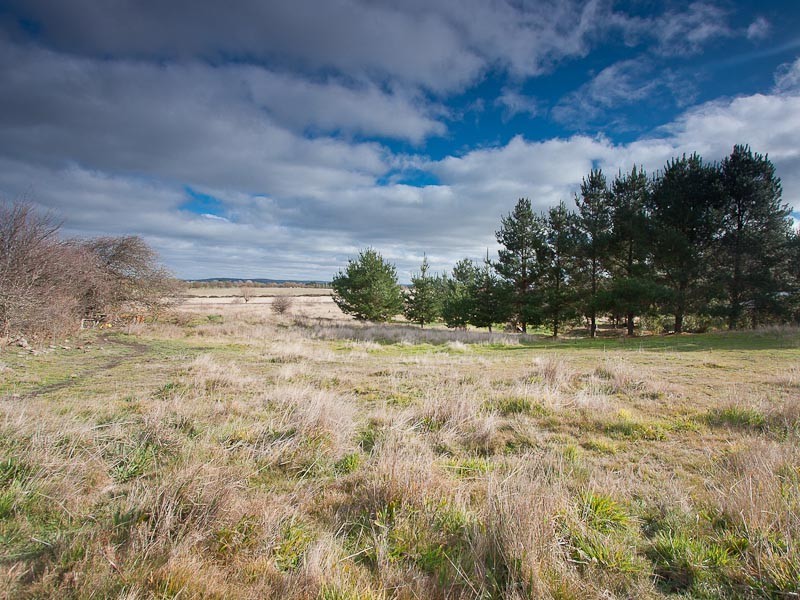 40 Hunter Street, Malmsbury VIC 3446