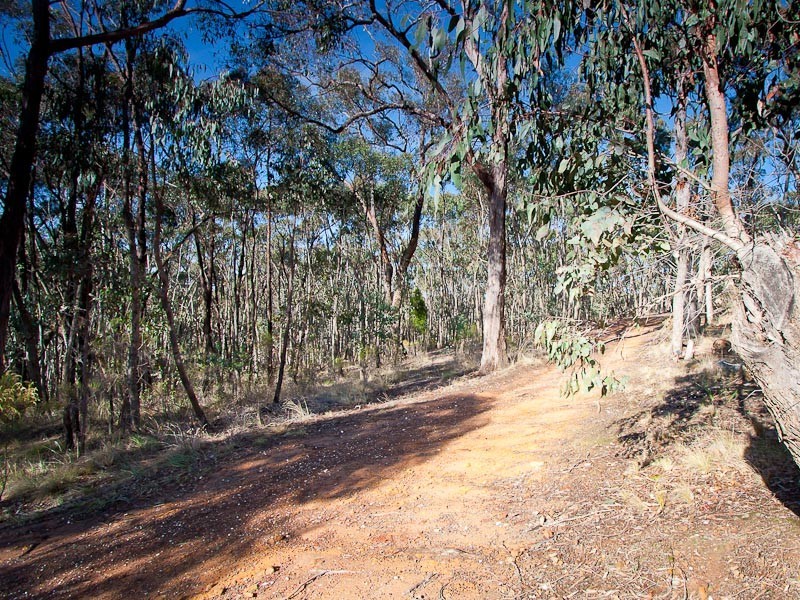 61 Back Creek Road, Drummond VIC 3461