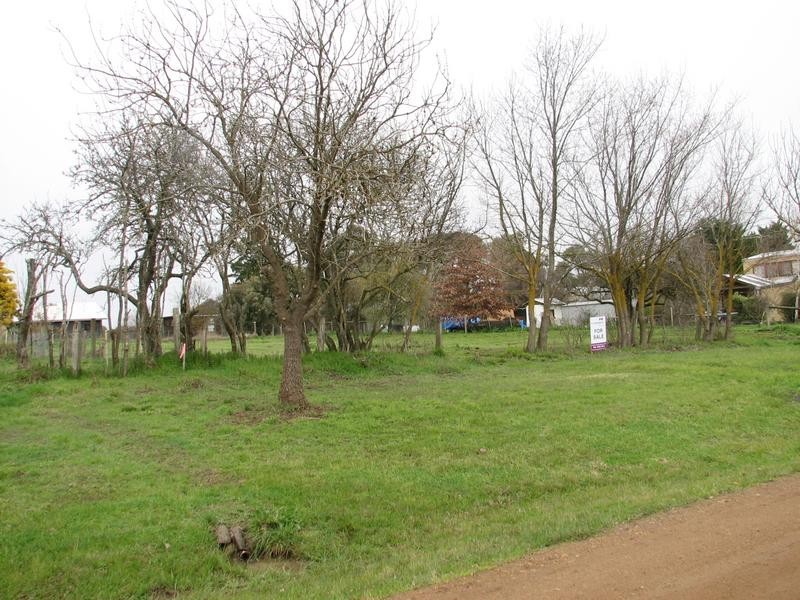 19 Drake Street, Malmsbury VIC 3446